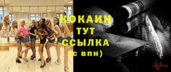 винт Аркадак