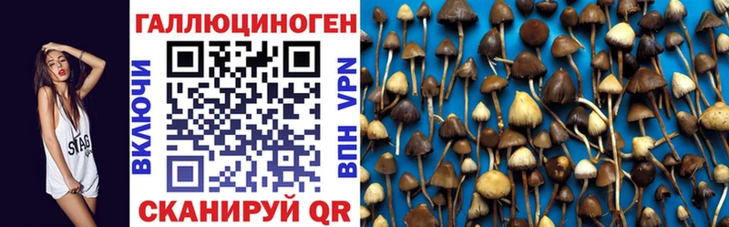 Галлюциногенные грибы ЛСД дарнет шоп Белокуриха